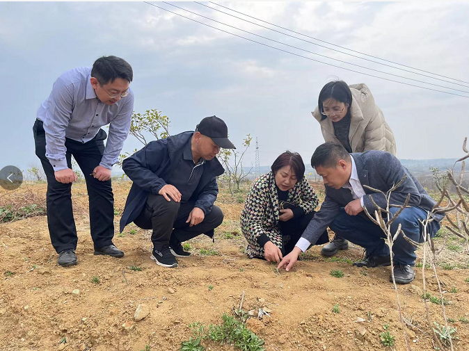 科技引领 接力续航 把光山荒山变成金山银山