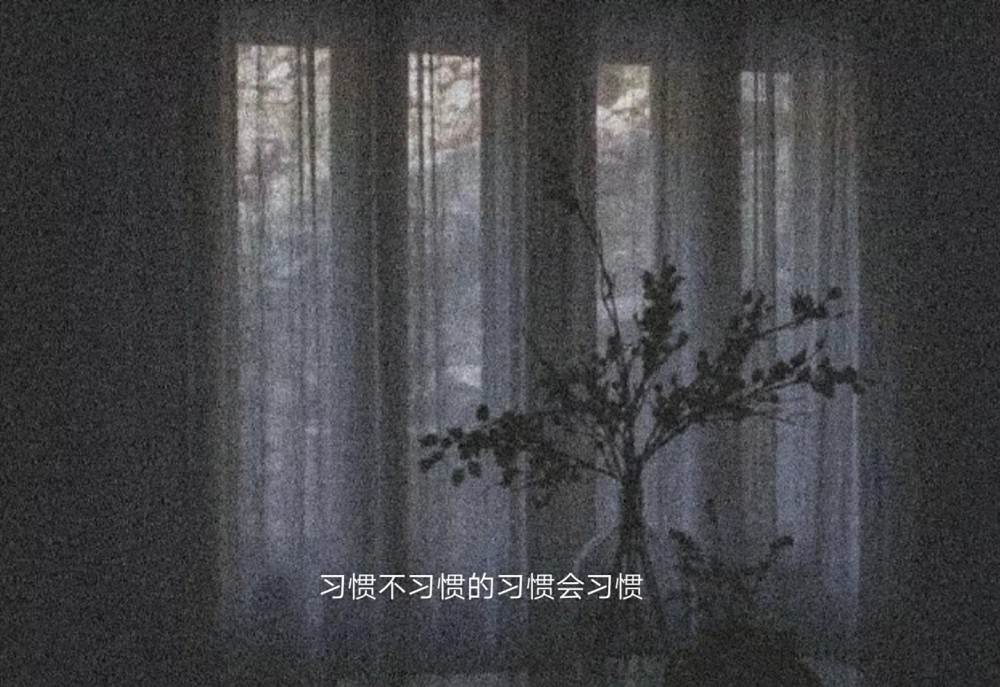 海边恋歌：浪花轻吻沙滩，爱意随风飘散