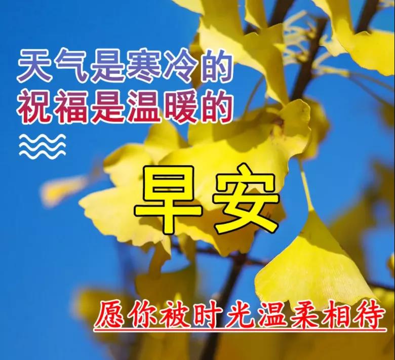 最新周六早上好问候祝福动态表情图大全 早上好正能量温馨语录句子