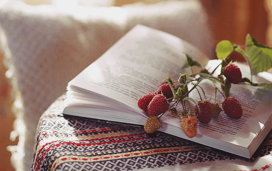 大语文时代：初中满分作文•再一次遇见你