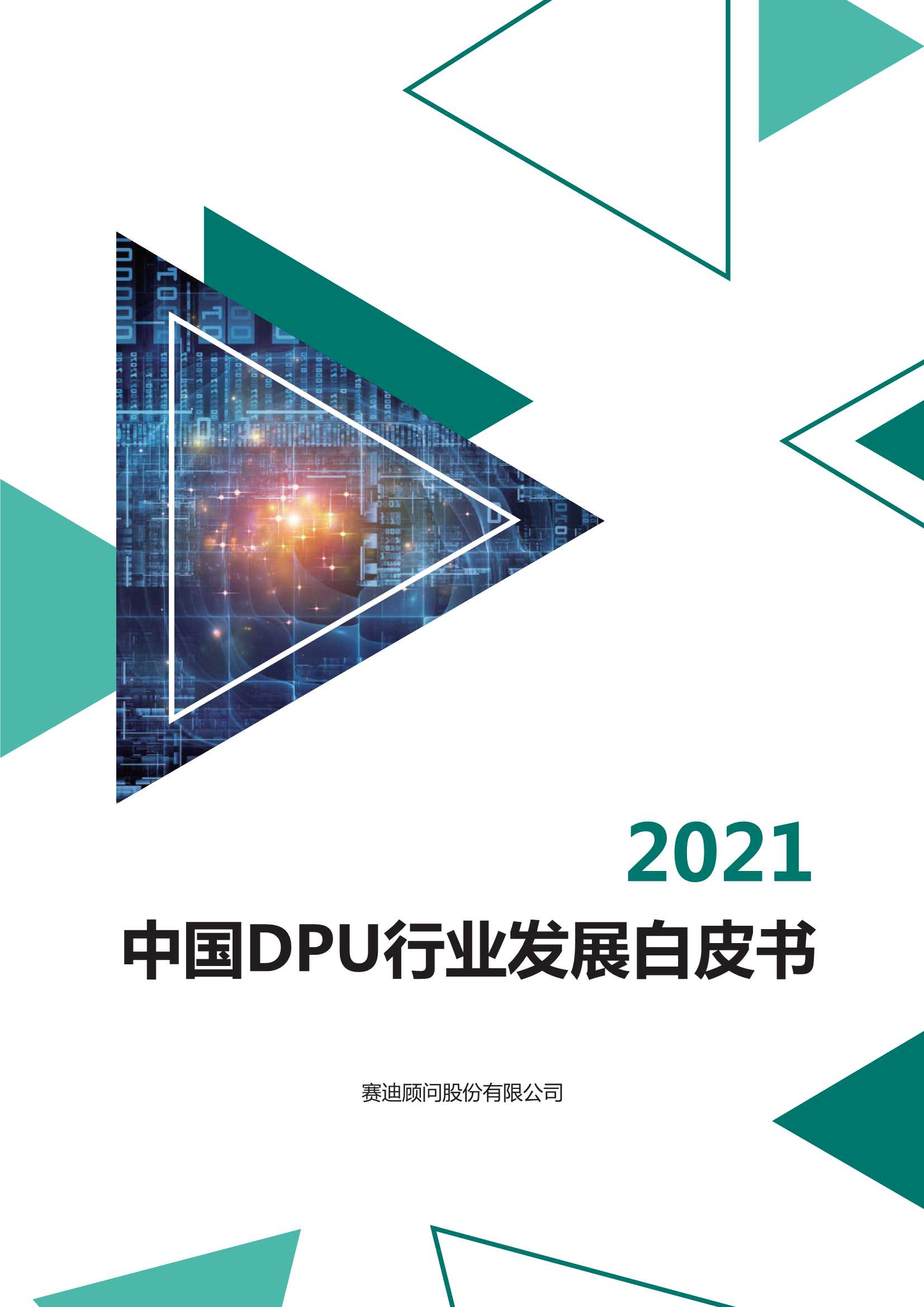 2021中国DPU行业发展白皮书（赛迪顾问）