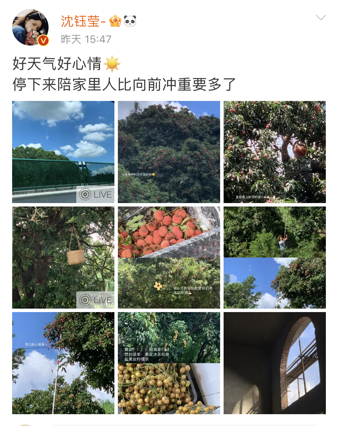 喜欢你我也是3：单身女嘉宾近况，女2越来越美，女5的生活很治愈