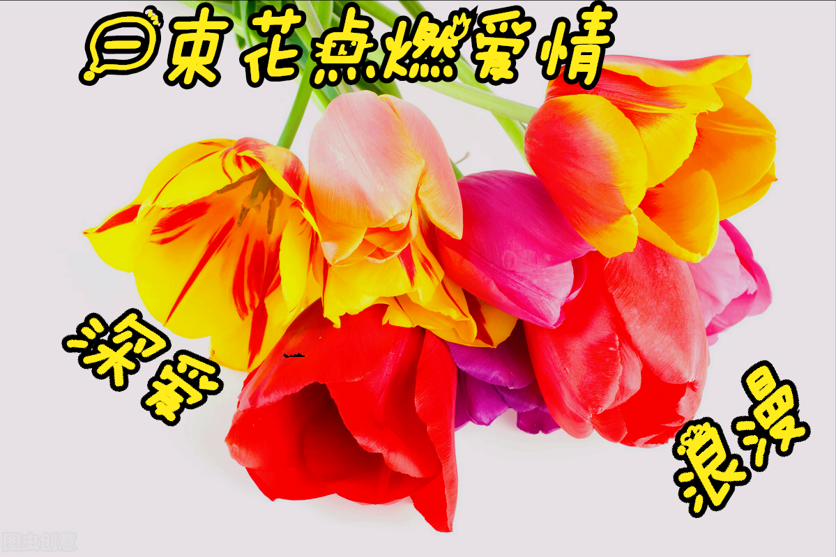 一花一世界，绚烂绽放间尽显天地灵秀之美