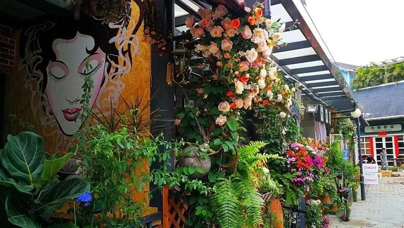 欧式荷兰风情，这个最美的花卉小镇，让你体验一把出国的感觉