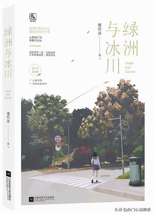 十本高分校园青春小说