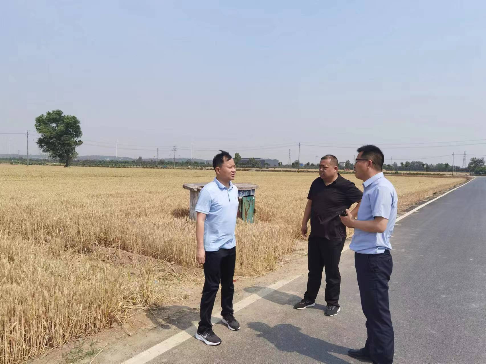 荥阳市高村乡:多项细服务,保夏粮安全