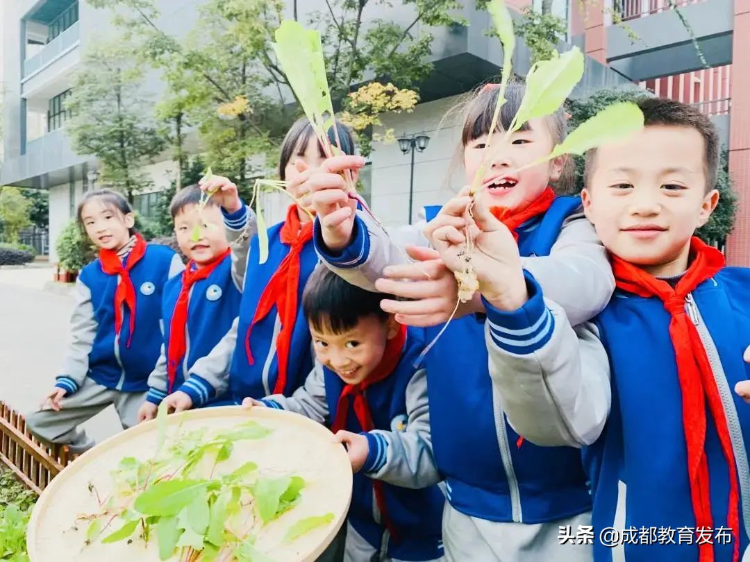成都又获教育部点赞！这次是为啥？