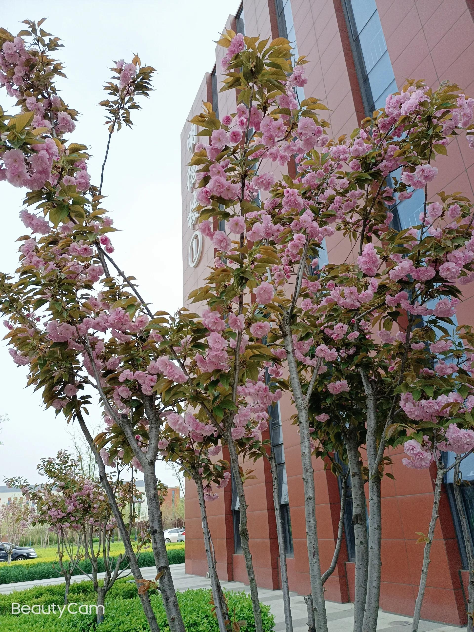 走进大学校园，看看周围的环境和美景，你还有什么理由不去努力