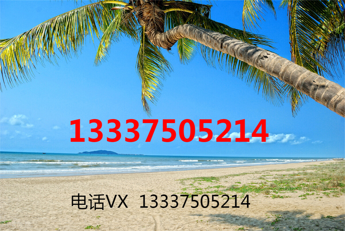 注册公司最少（在海南注册公司的政策）