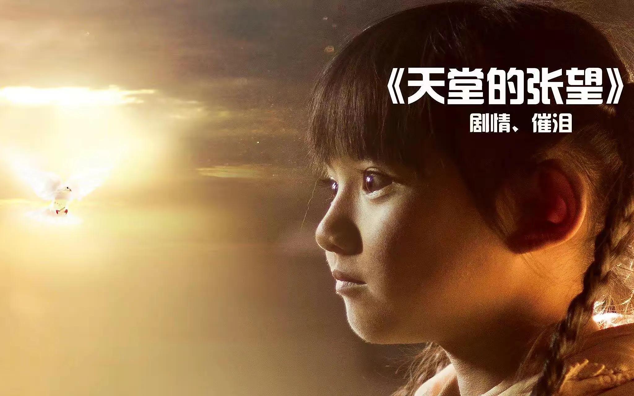 真实催泪电影，天堂的张望，看哭了我