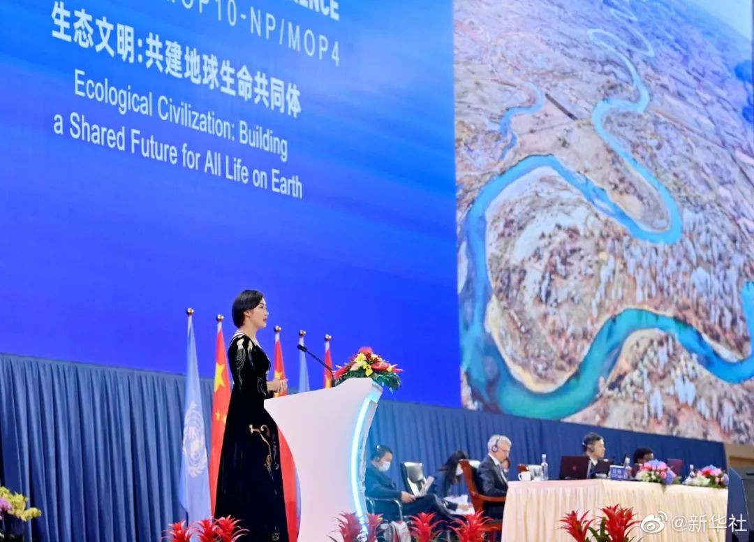 保研清华，参与卫星发射，在联合国大会发言！这9位青年来自北京同所大学！