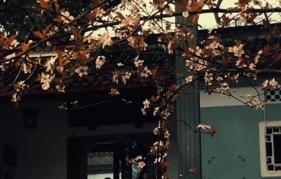 美貌才华并存的10所大学（下），中山大学、清华、湖南大学皆上榜