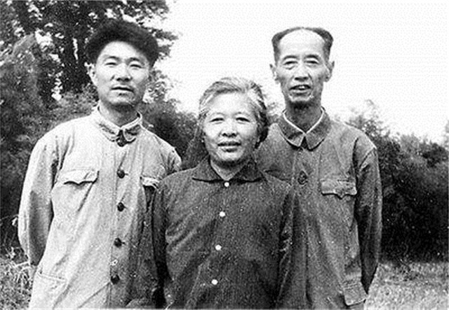 高考数学交白卷，作文只写28字，大学校长看到试卷后：你被录取了