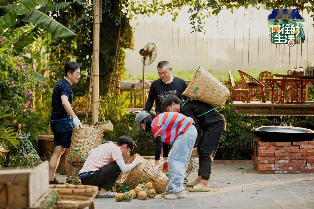 《向往的生活》为什么越来越无聊