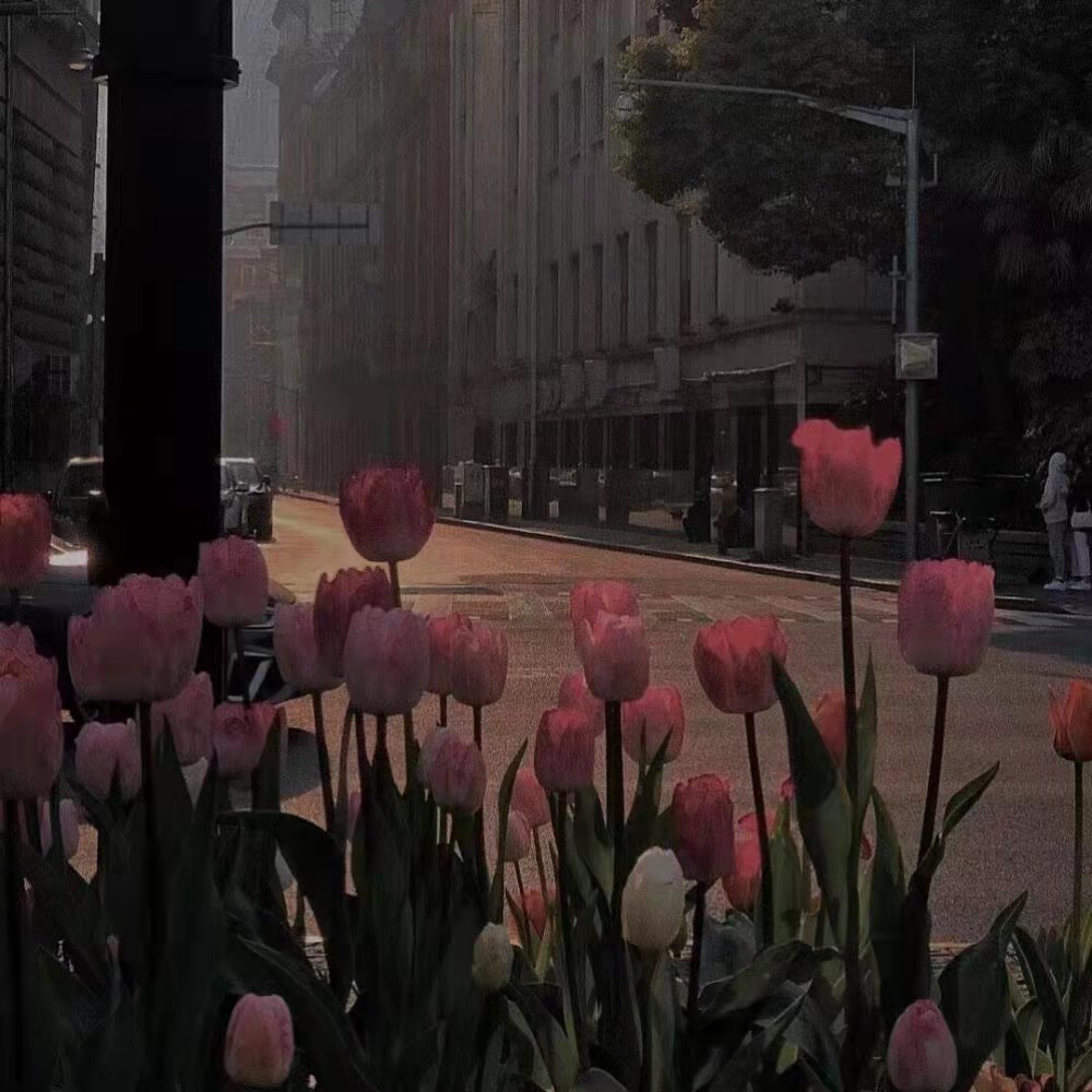 满是酸溜溜的醋味文案