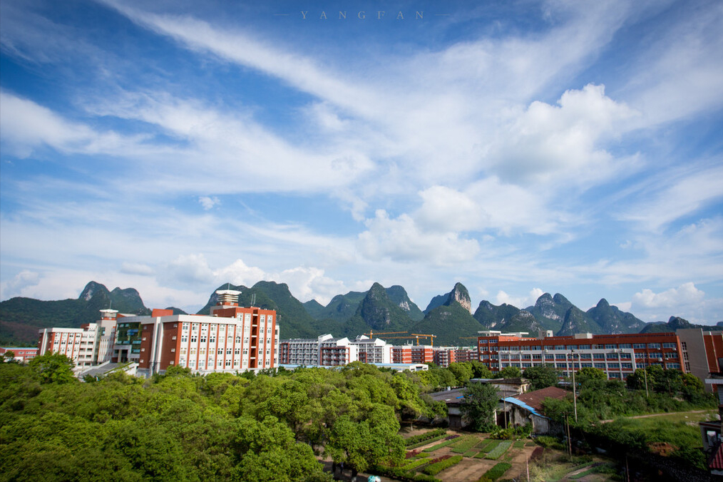 承认艺术类省统考成绩可报考的院校及专业，2022年专题之四河南篇