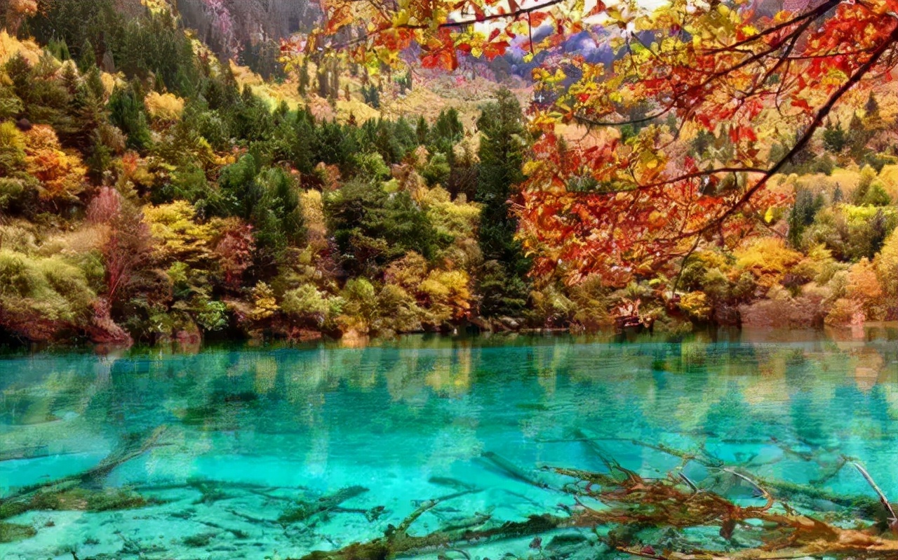 国内10大世界级美景，个个都是超乎寻常，美得过分，你去过几个？