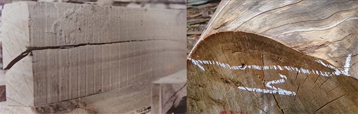 留住手艺：木材基础知识——高密高博木业家具