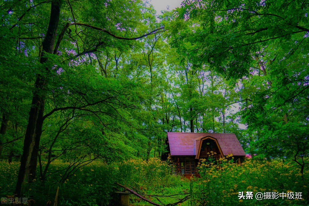 點(diǎn)評(píng)：3張照片3個(gè)瑕疵，從業(yè)13年攝影師的拍照技巧