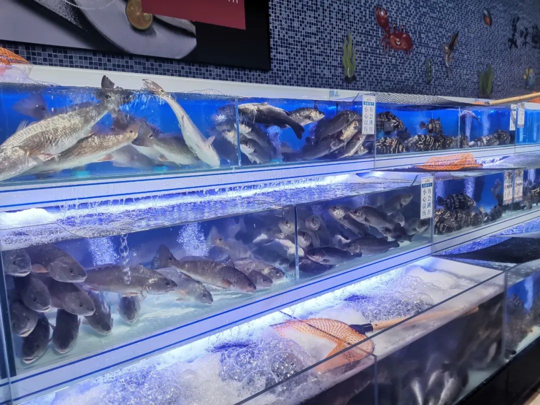 һ����̽���������̳�������������Ӫ��Ӫ+�ֳ�