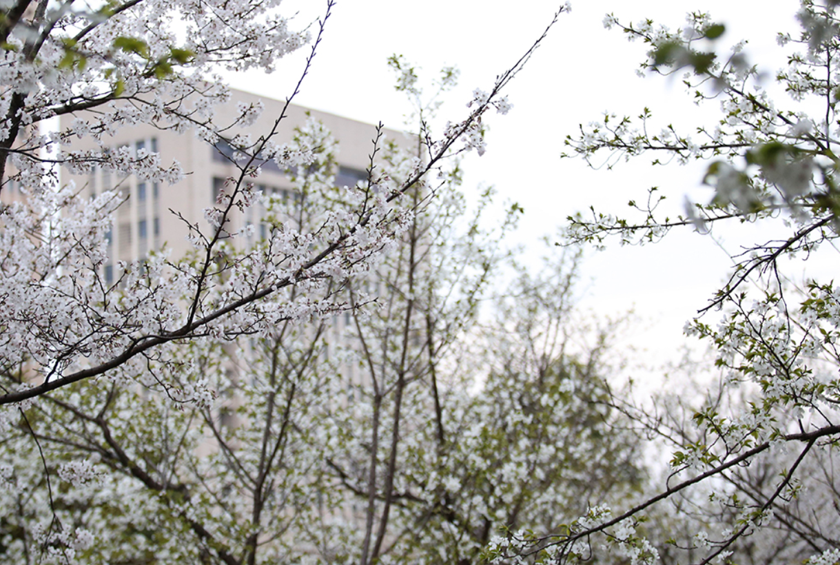 换帅！武汉理工大学空降一把手，这位新校长以前还是华中师大校长