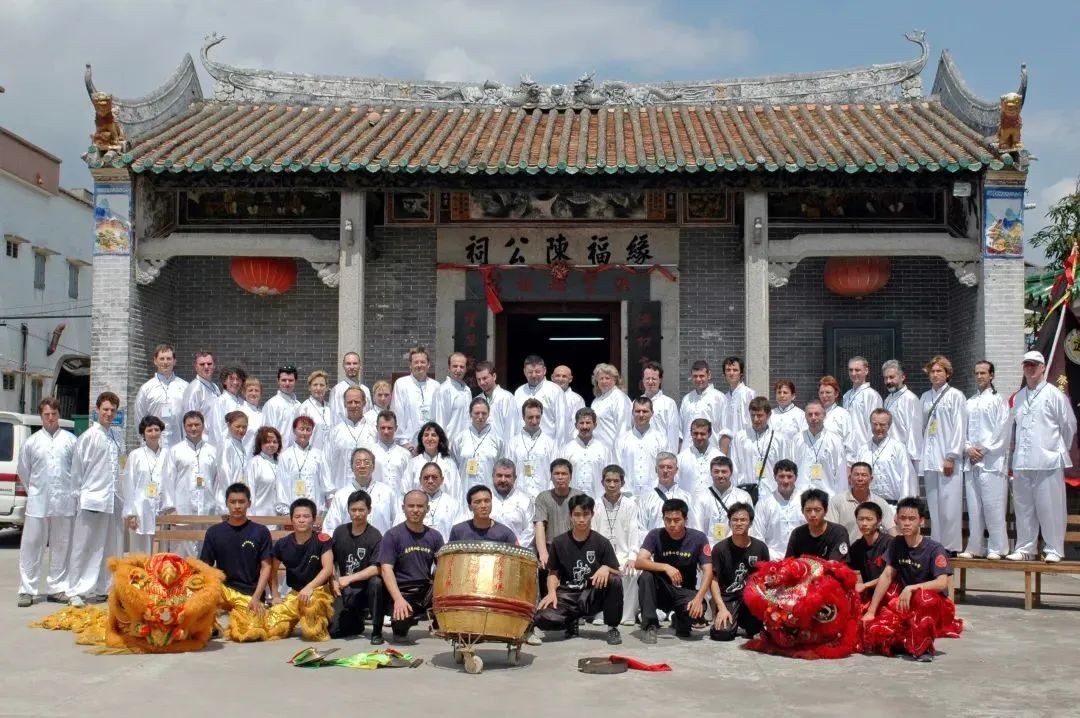 这些蔡李佛影视作品太绝了