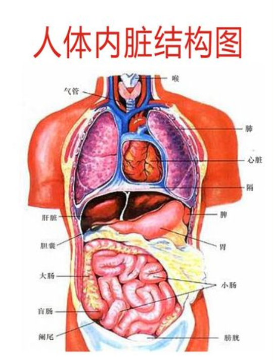 尸臭到底有多臭（一文详聊什么是“尸臭”）