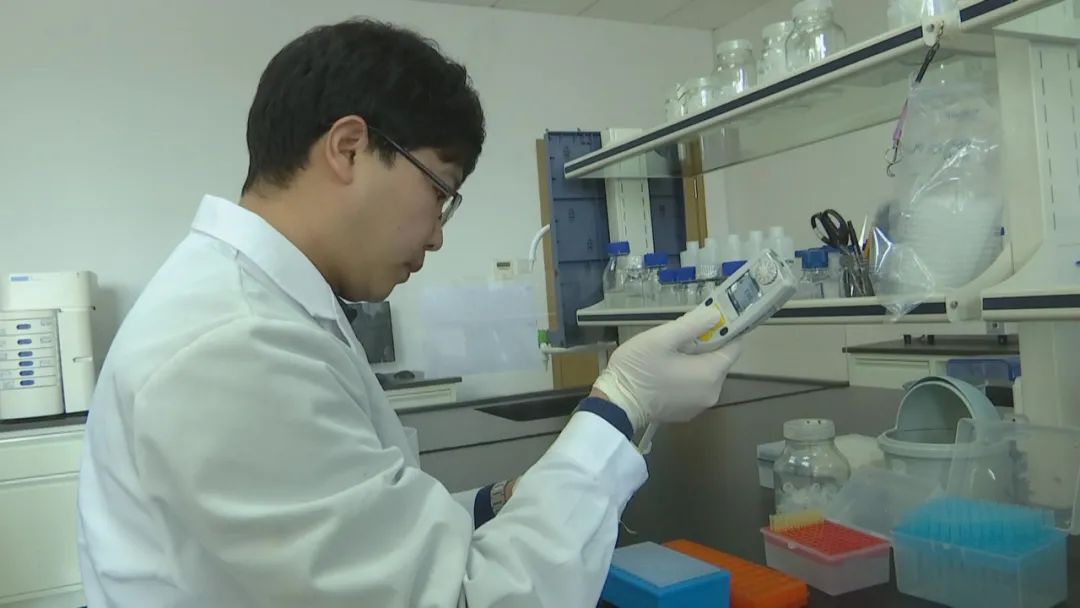 好品山东｜西瓜随便吃，种子得留下！这是啥操作？