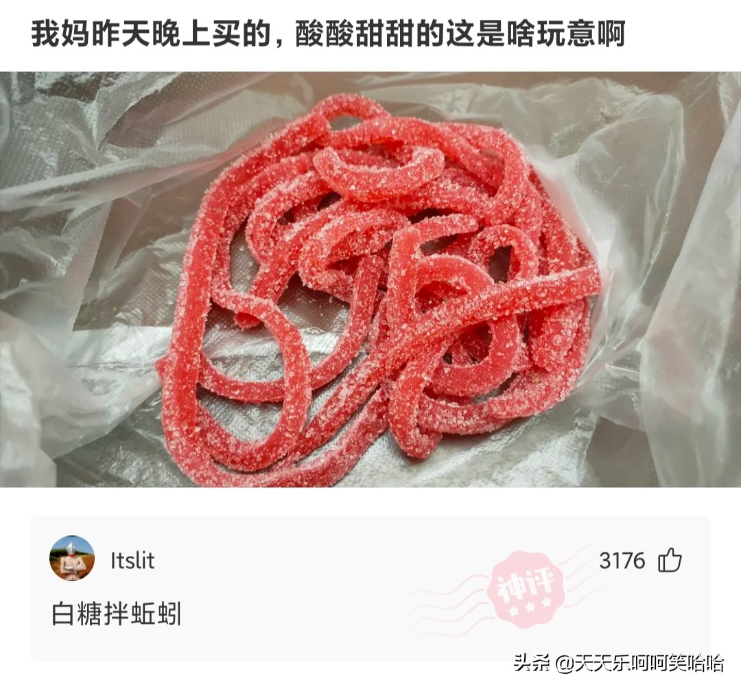 老婆把吃剩下的甲鱼壳用来装瓜子，看起来怪怪的！哈哈哈哈哈