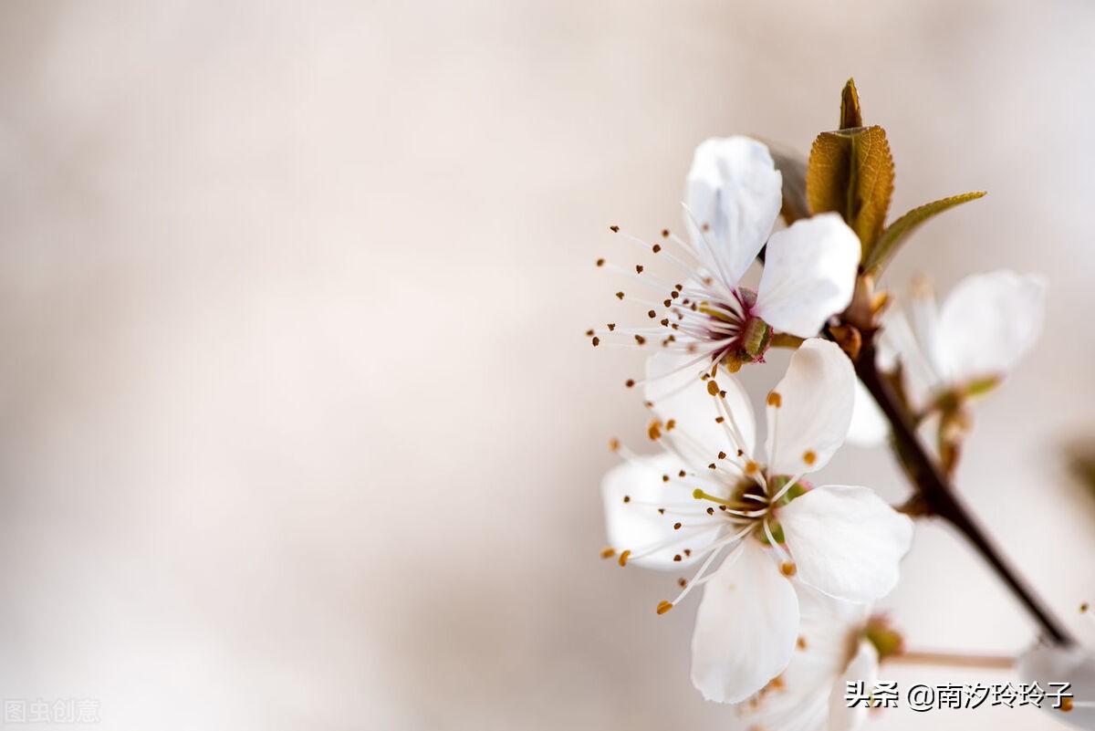 电影《人生大事》：敢于直面死亡，是我喝过最顶级的鸡汤