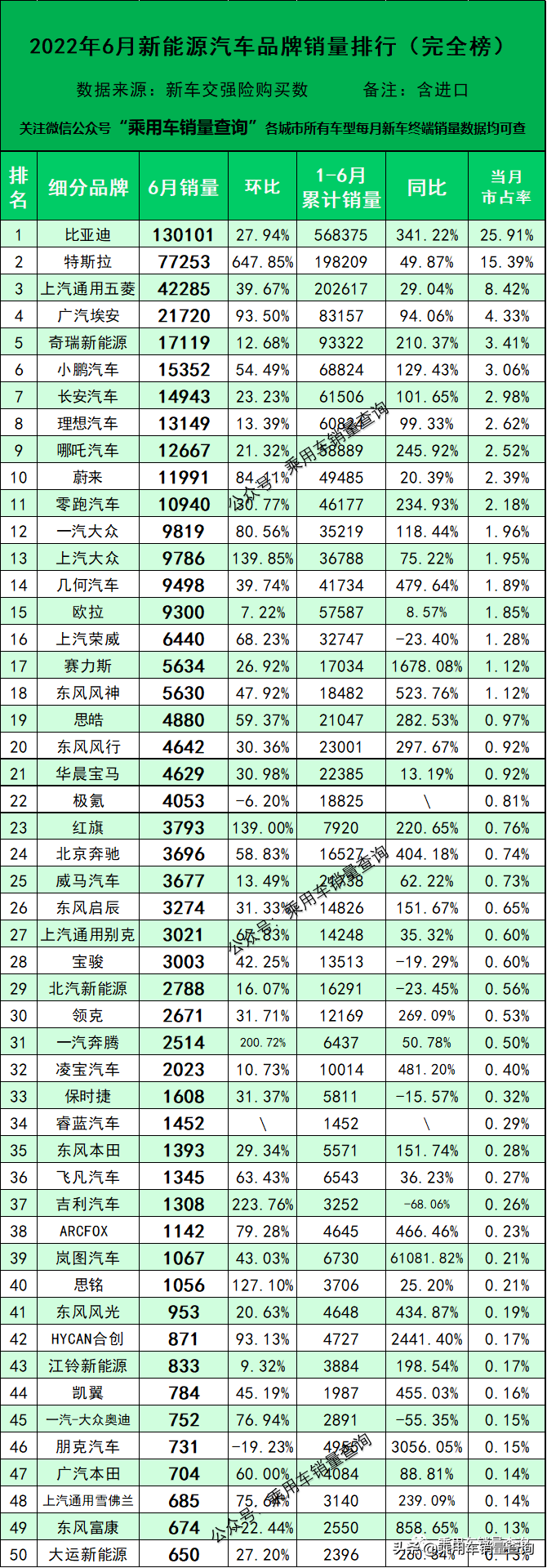 22年6月新能源汽车细分品牌终端销量排行榜