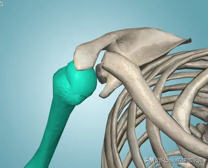 赵丽颖官宣美出新高度，体重不过百还是胖？四个体态问题要关注