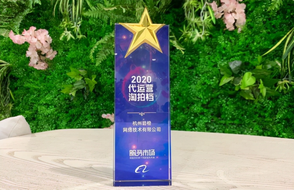 杭州碧橙数字斩获“代运营淘拍档”，快速迭代升级