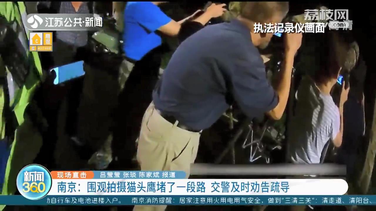 围观拍摄猫头鹰堵了一段路 南京交警及时劝告疏导