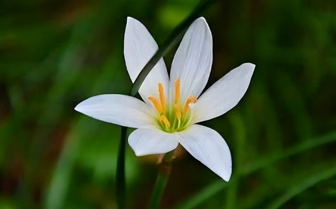 真正厉害的人，是能够“结交小人”的人