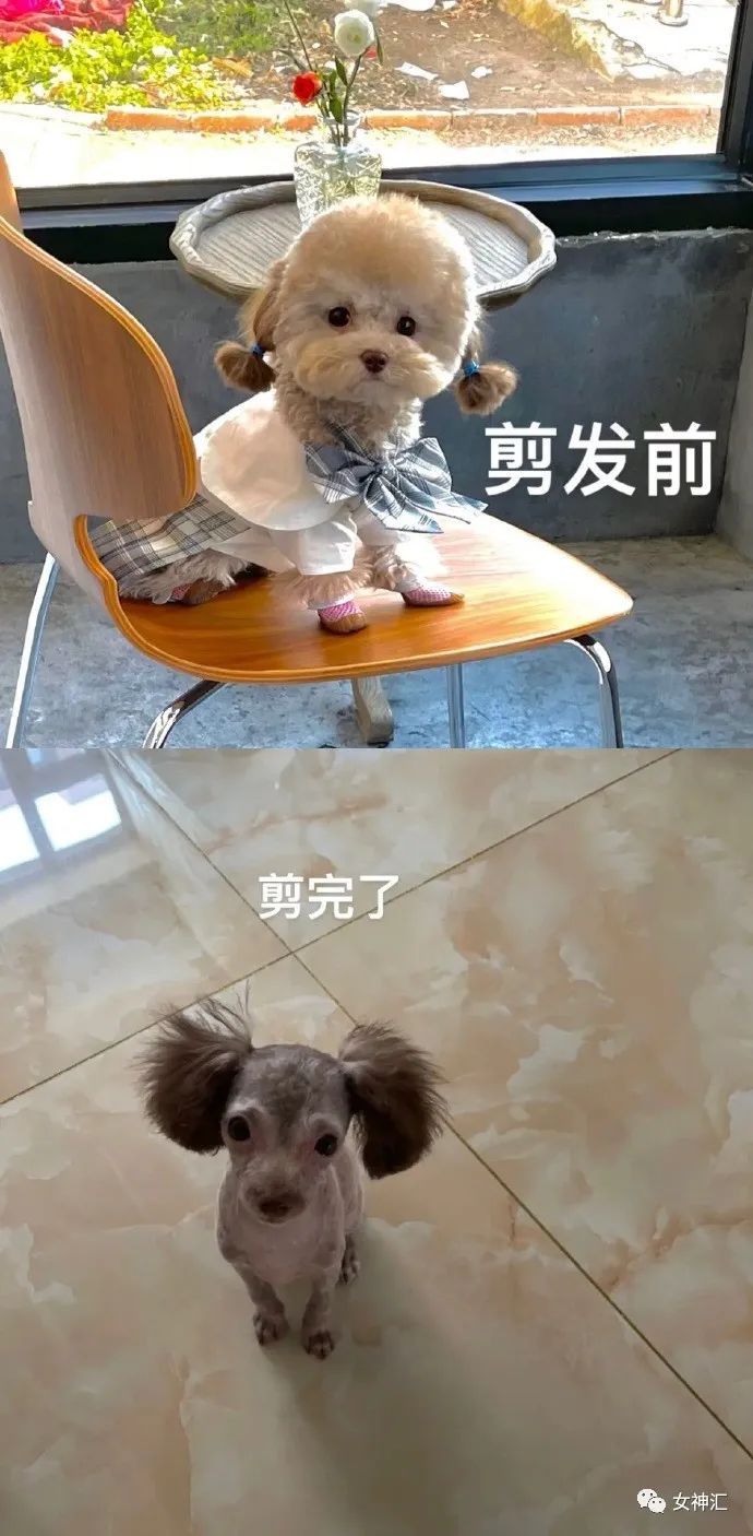 井柏然刘雯牵手视频意外流出，恋情实锤？网友评论亮瞎眼