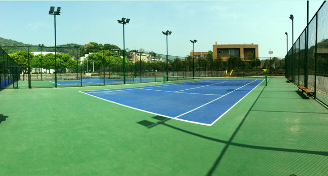 曾聘请“拳王”当教授！湖南这所985：多次包揽金银牌，还走出奥运冠军！