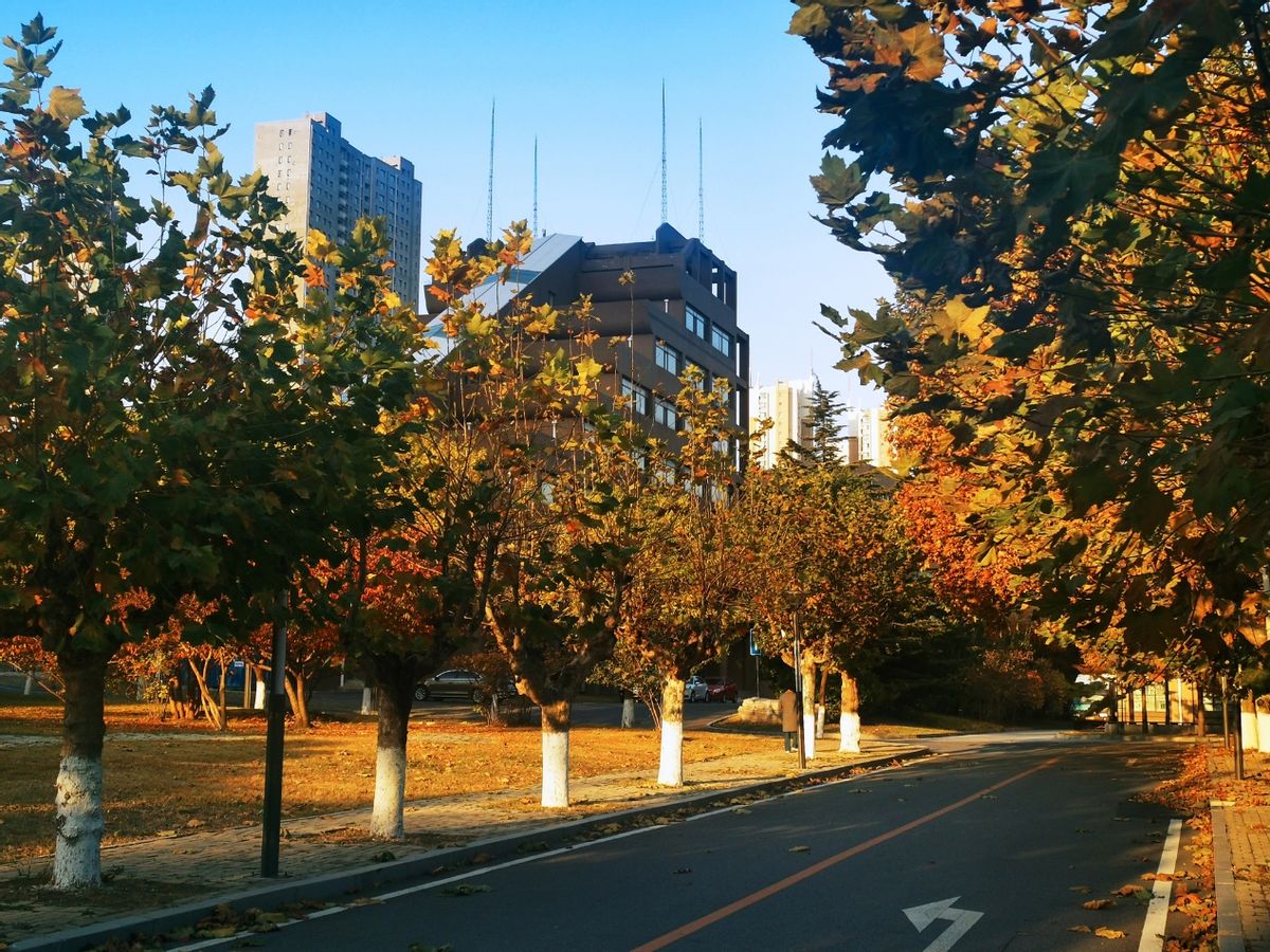 总理批示！攻克核心技术！这所百年名校“第一交响乐”火了，享誉国际！