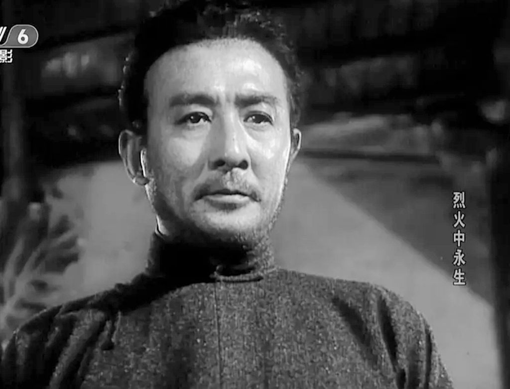 《烈火中永生》，创纪录的5位22大电影明星参演，如今王心刚健在