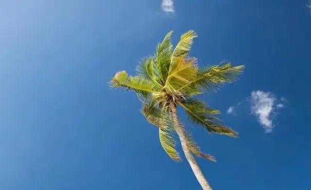 ����Ԥ��������4��5�������ڣ�������ɶ˵����������ũ����Ԥ��