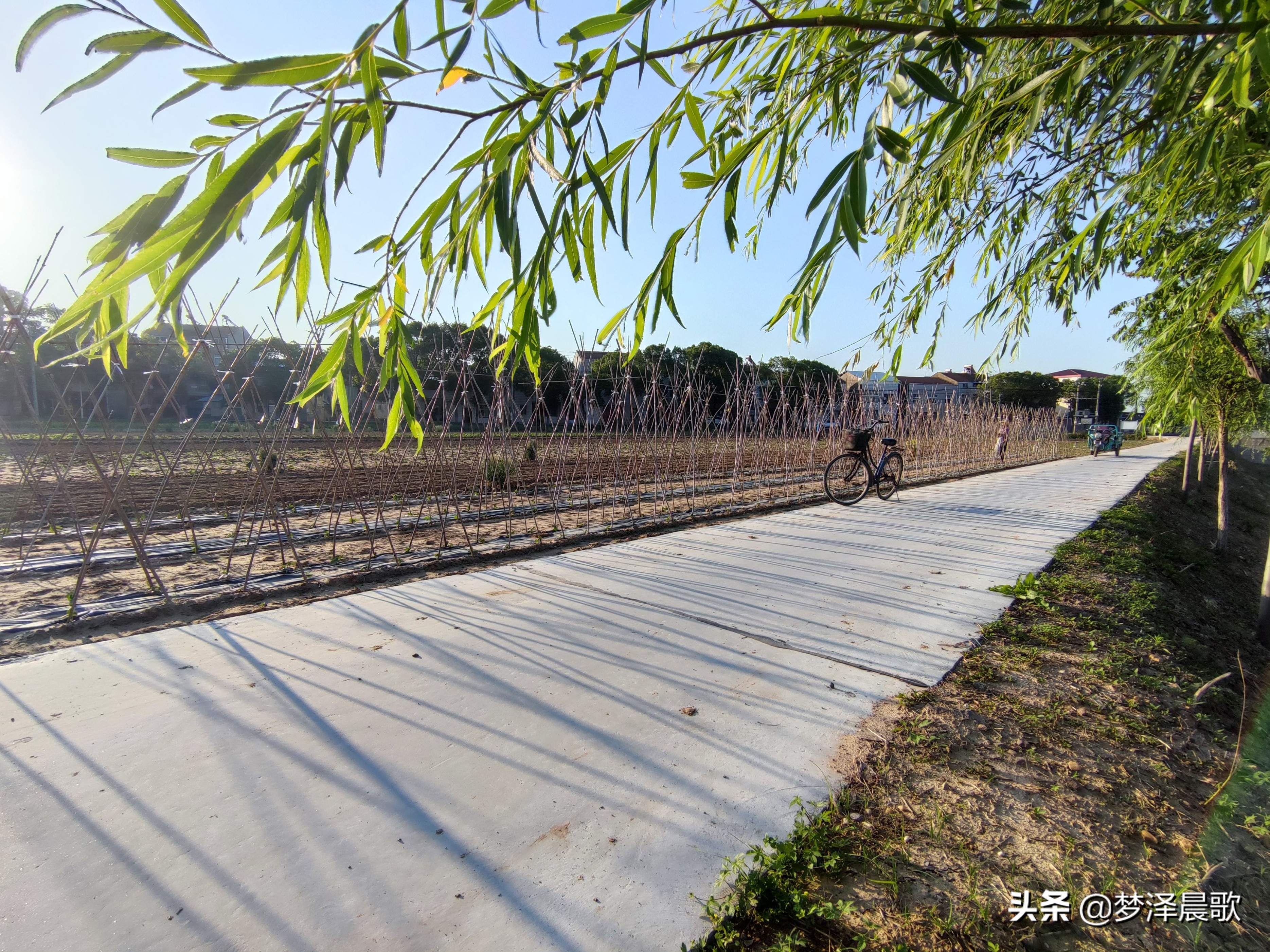 乡村道路颜值高通村道路建成景观道
