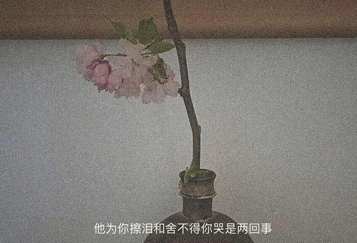 背景图｜“当代网友都是怎么描写遗憾的”