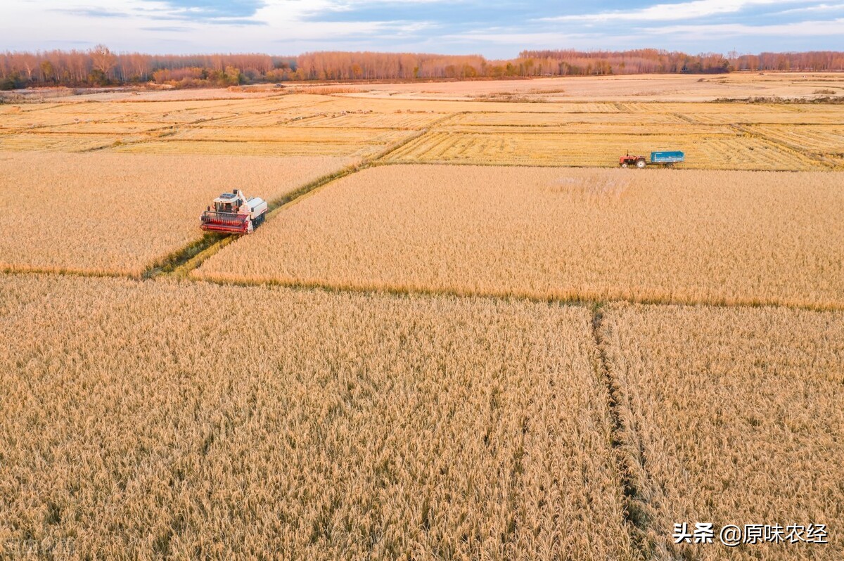 中国农业现代化：最基本特征及政策含义