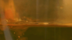 金华火腿还能这样烹饪：煮饭、煲汤、蒸鸡、炖菜，样样皆行