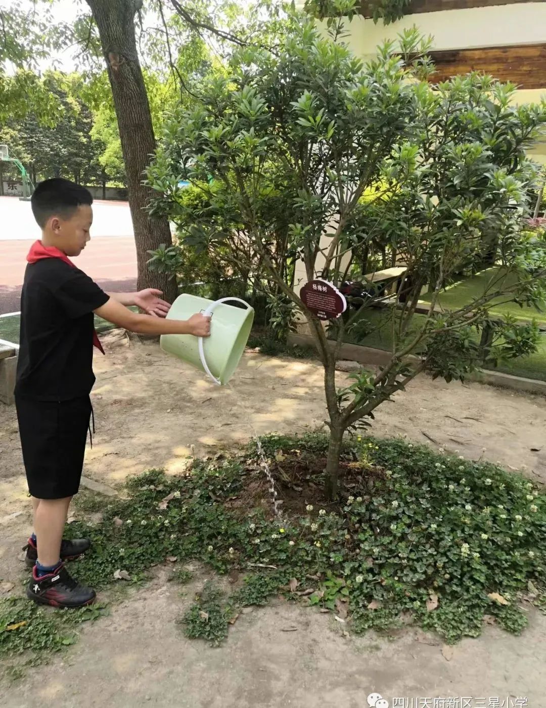 致敬最可爱的人——四川天府新区三星小学开展劳动实践周系列活动