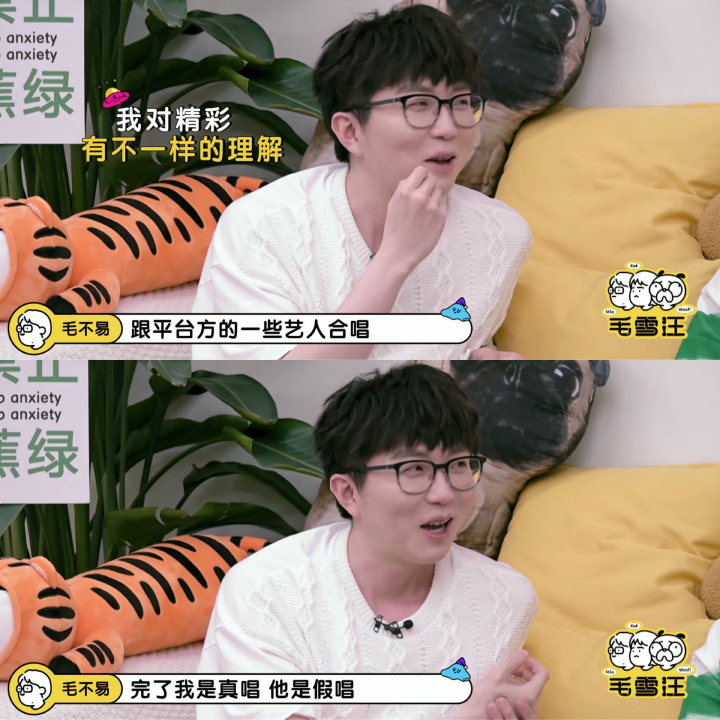 《毛雪汪》节目到底有多敢说？毛不易自曝曾与人同台“假唱”