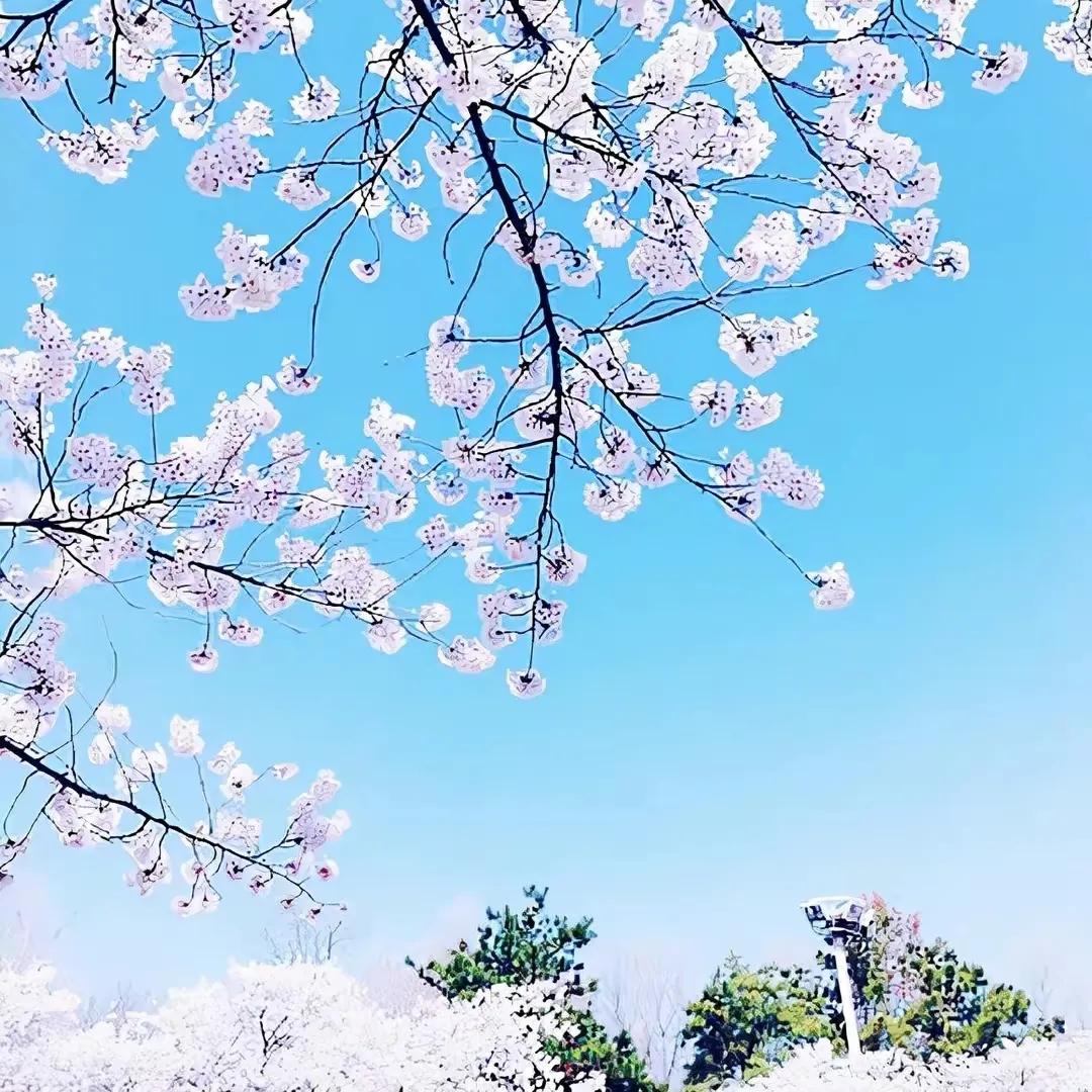 唯美温暖神仙句子，深情治愈简短精致文案，人生感悟精辟个性签名