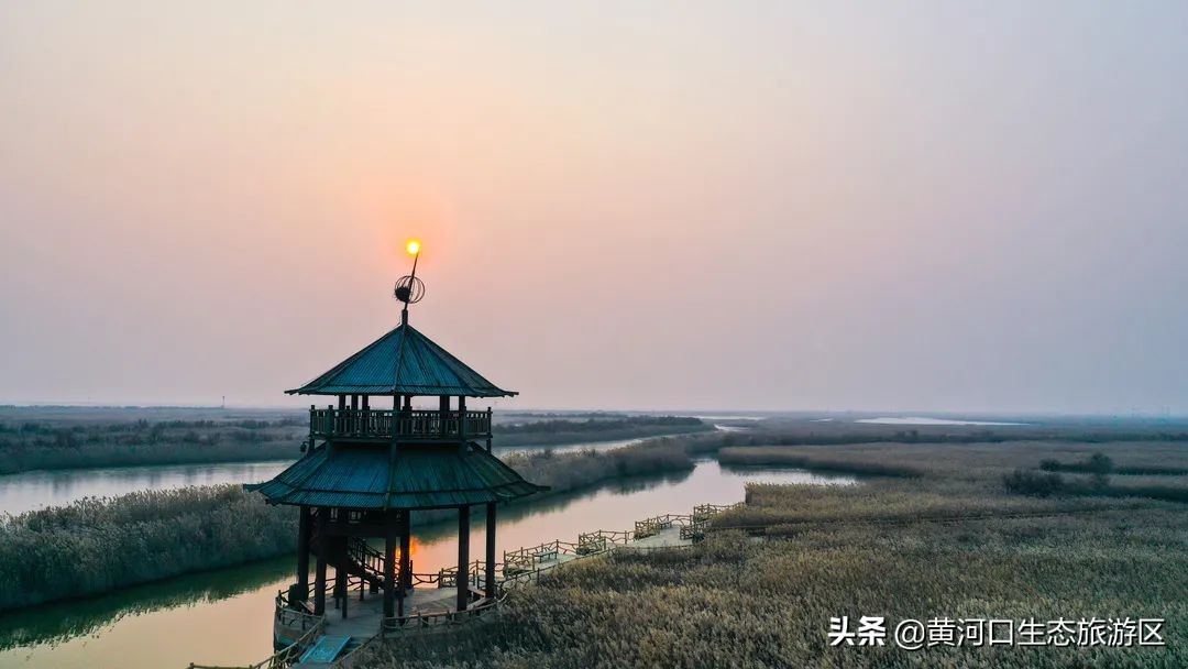 【黄河口生态旅游区】致敬！人民警察！