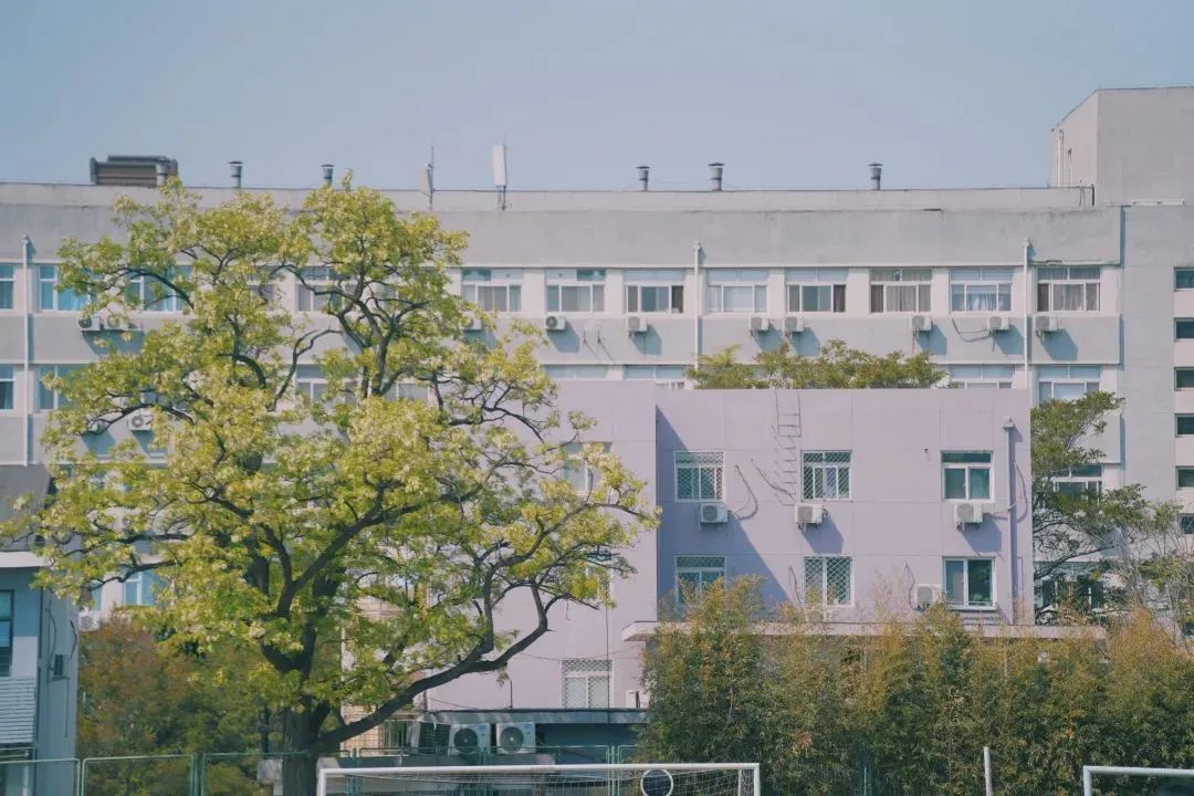 2023考研捡漏：这些院校专业校线低于国家线