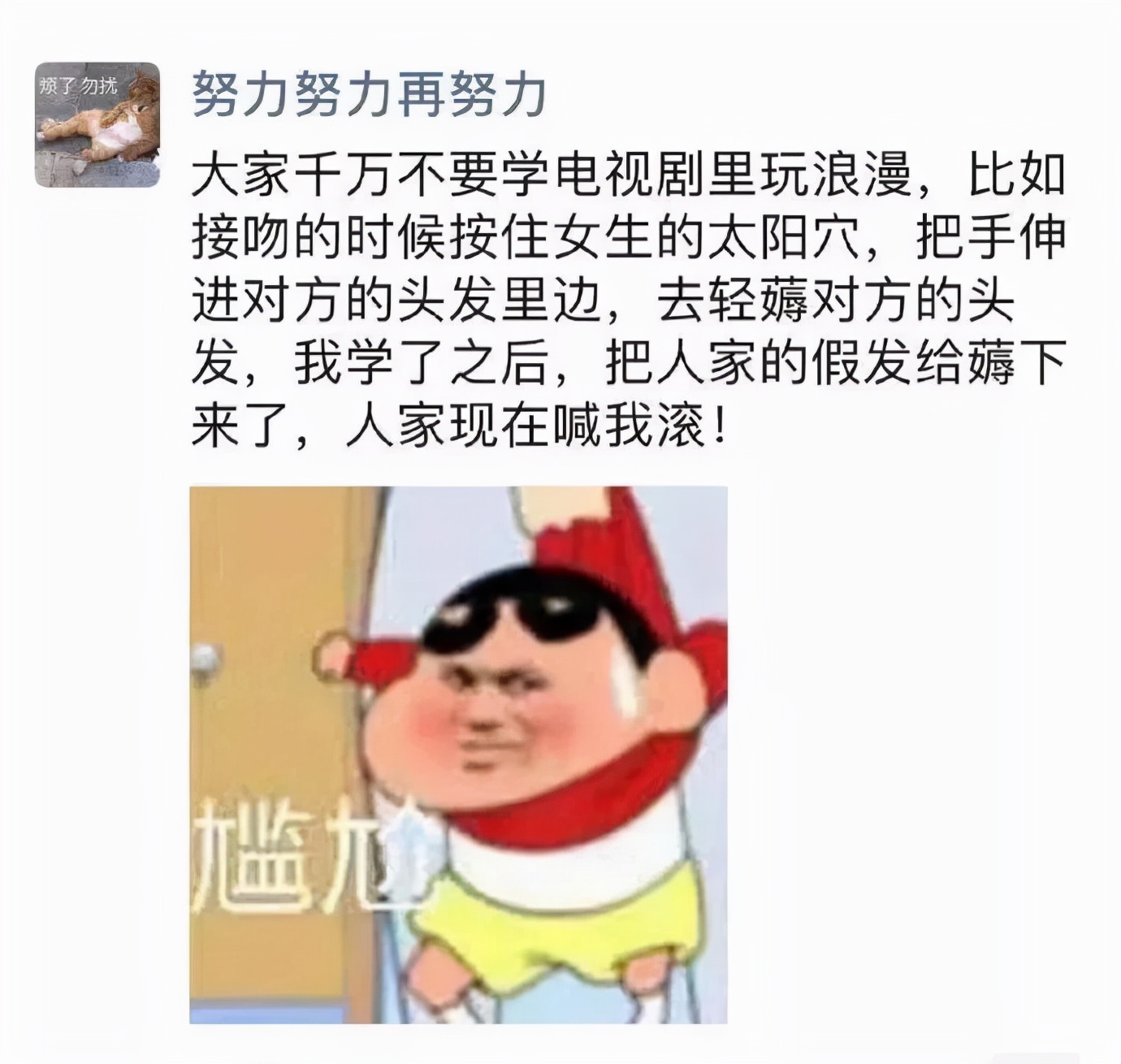 小猫的生日礼物（猫咪过生日送什么礼物）